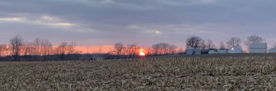 MatttRead's profile banner image