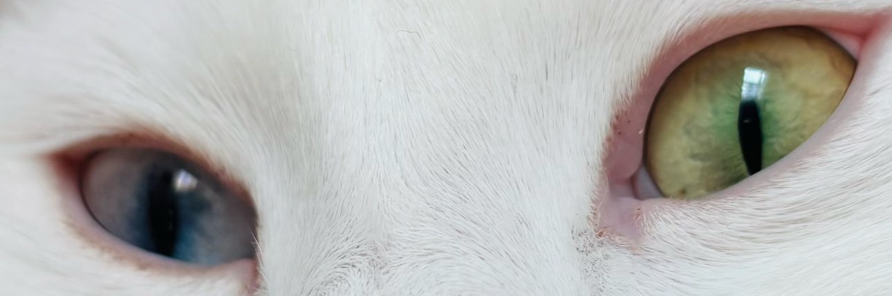 brtiren32's profile banner image