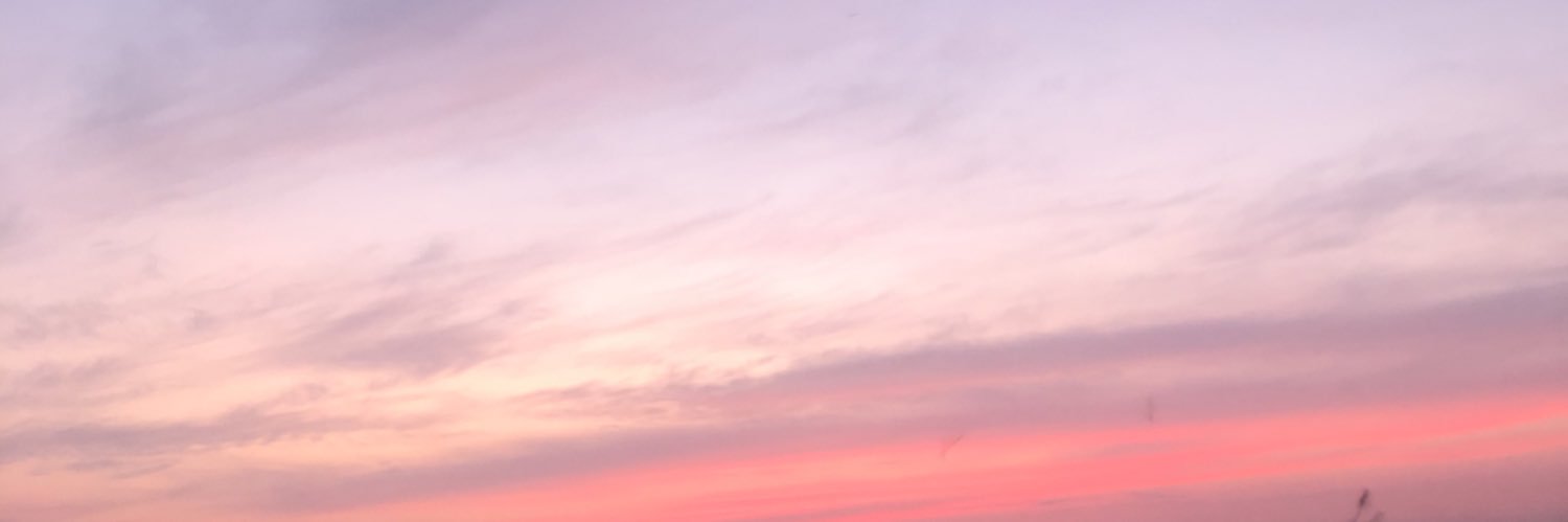 ZuleimyH's profile banner image