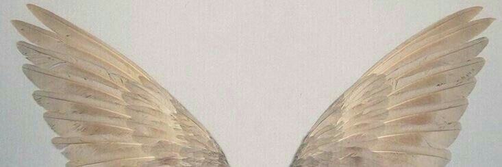 elifgoceroglu's profile banner image
