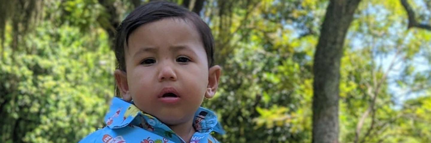mayazevedos2's profile banner image