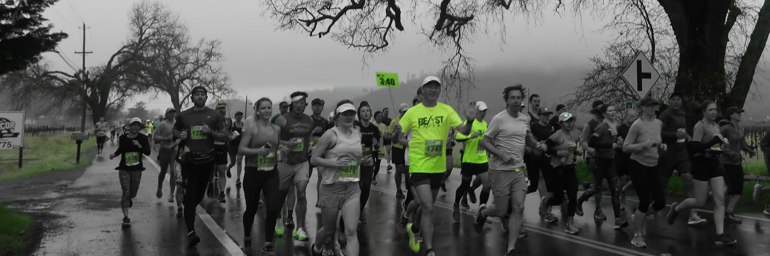 Beast Pacing banner