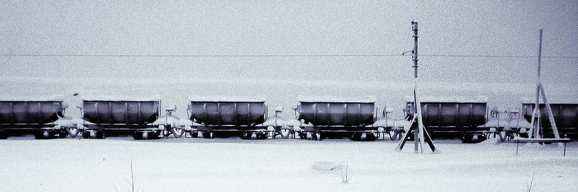 Szedko's profile banner image