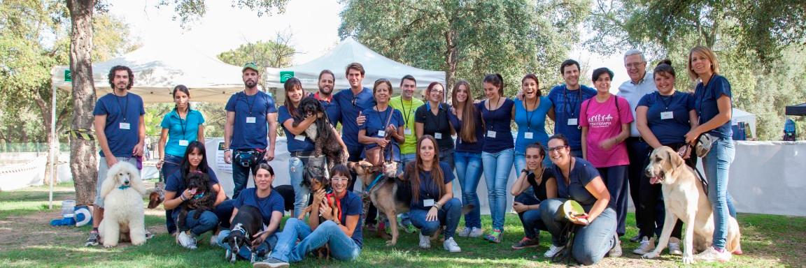 FundacionATAP's profile banner image