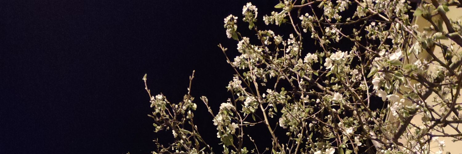 brcucaa's profile banner image