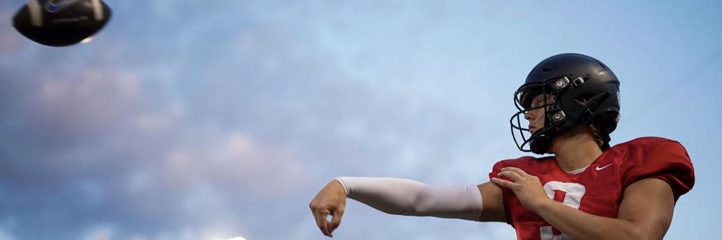 Gunnar Gray banner