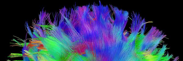 neuro_nikki Profile Banner