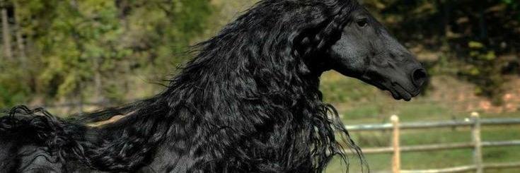 cocukmus's profile banner image