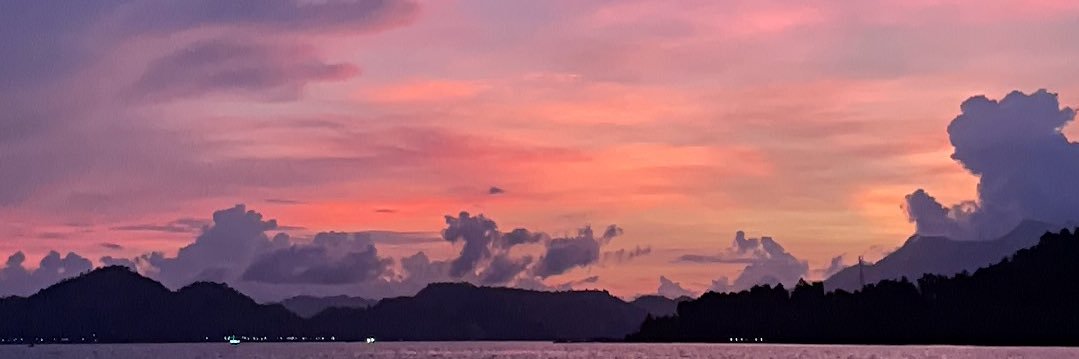 widyasaw's profile banner image