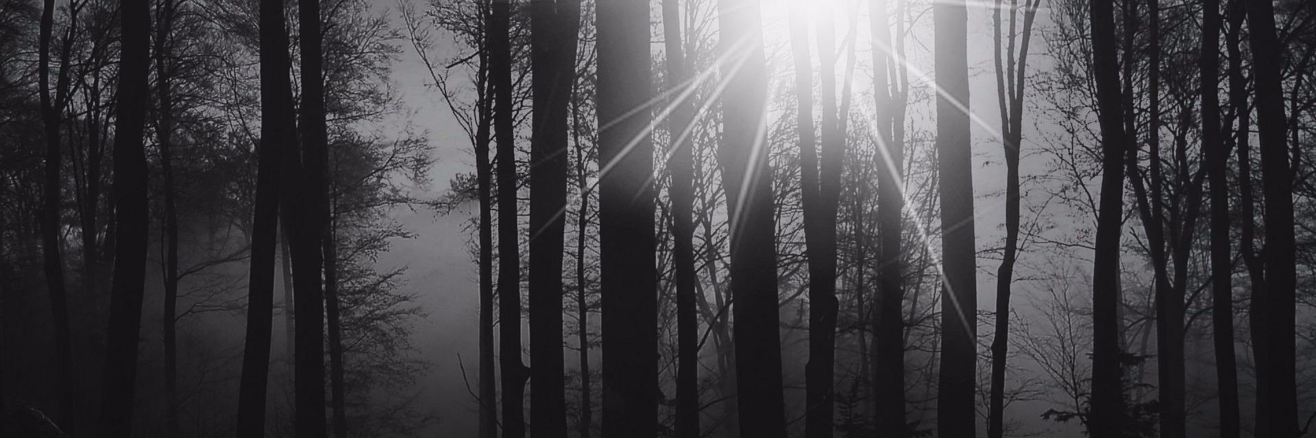 Nadilainsche's profile banner image