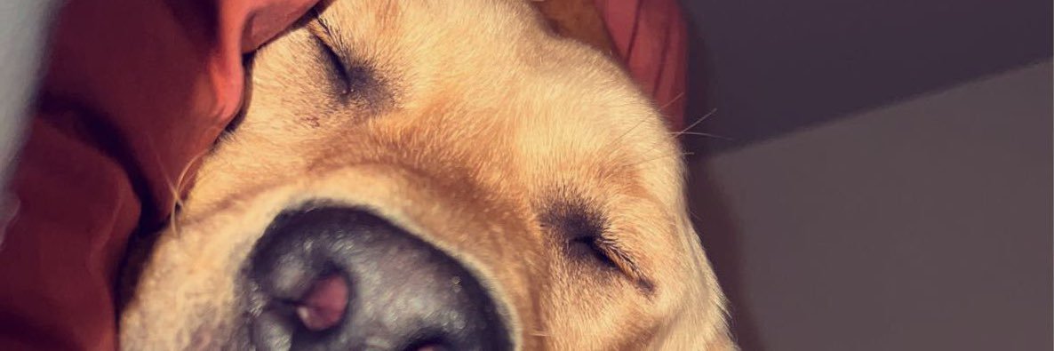 BryceBurton7's profile banner image