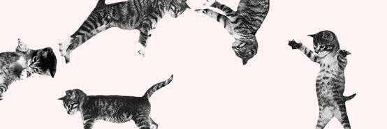 danielizasmith's profile banner image