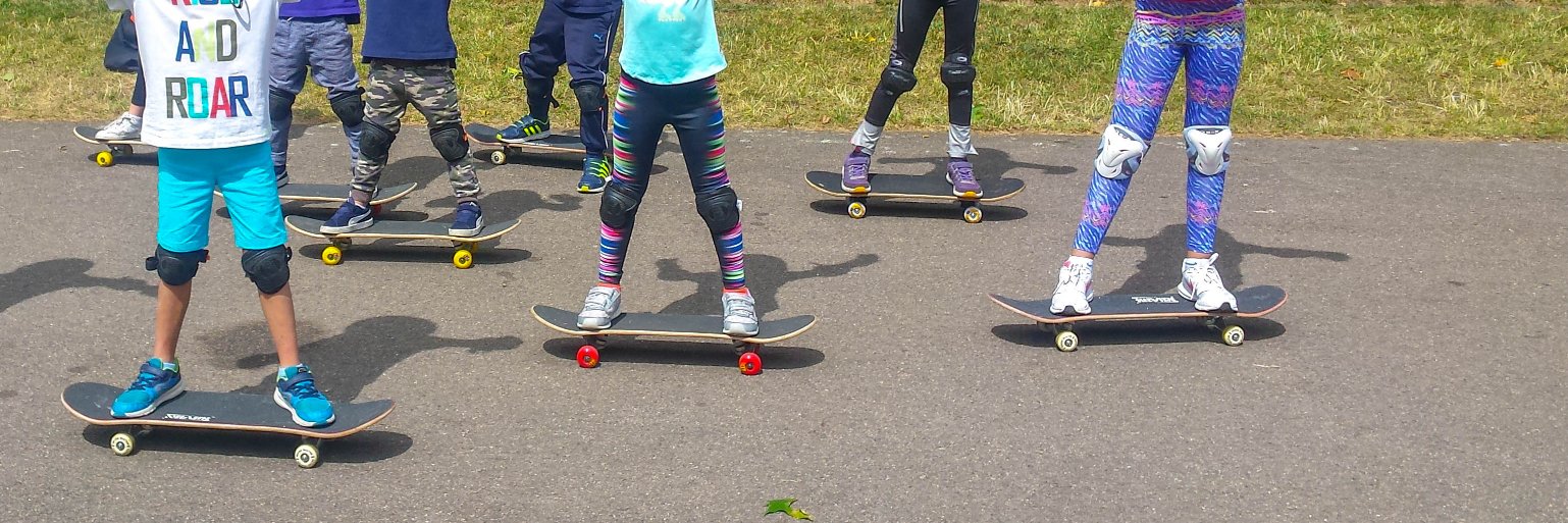 ZebraSkate's profile banner image