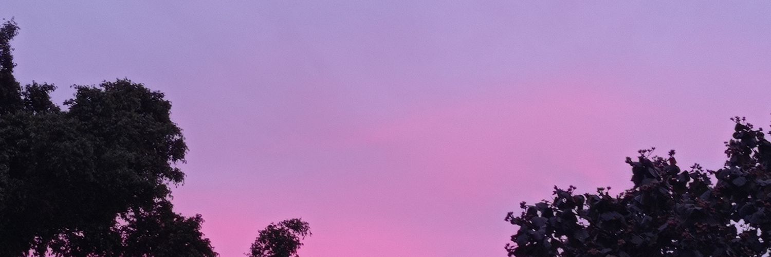 chichanutriaa's profile banner image