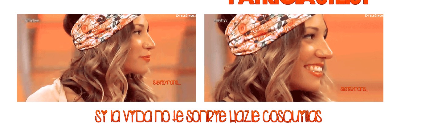 SteisyFans_'s profile banner image
