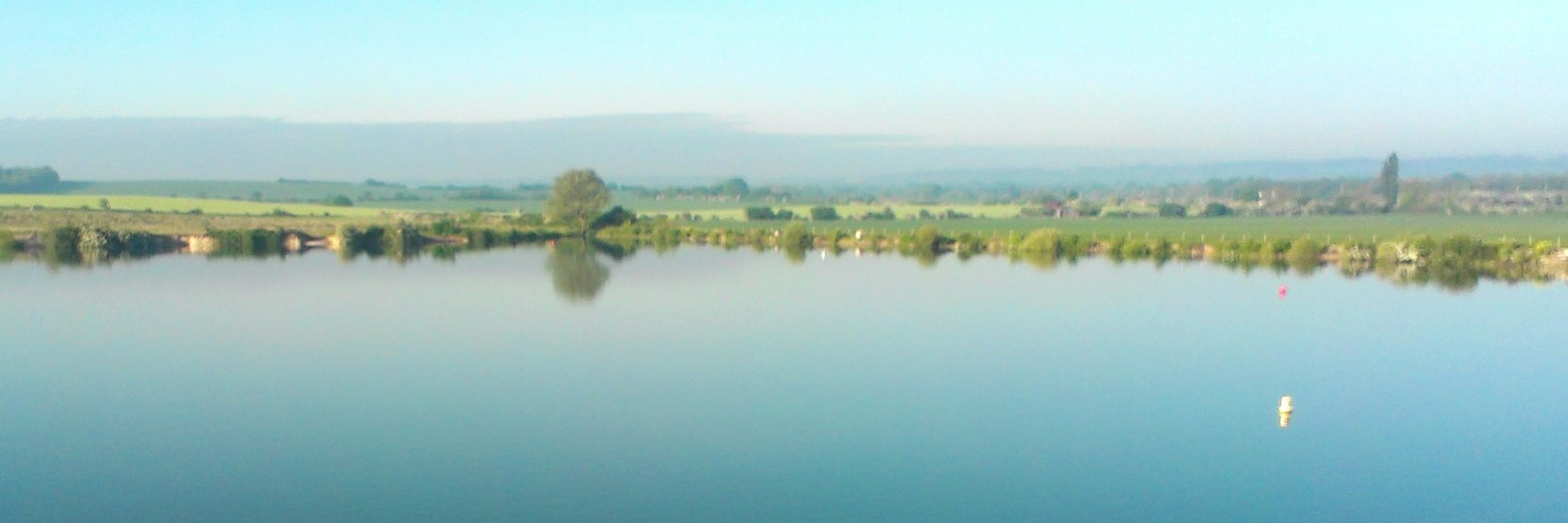TriShorts63's profile banner image