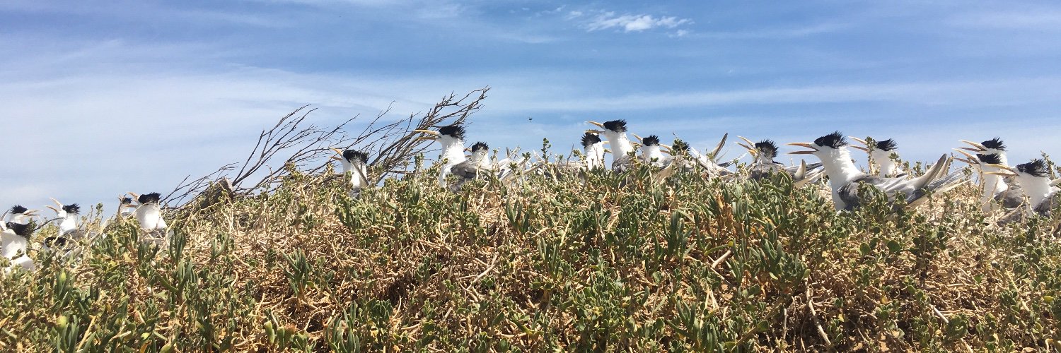 Ben R Fitzpatrick banner