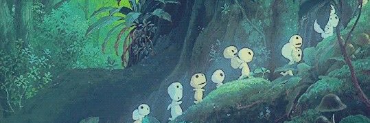 misabrownnn's profile banner image