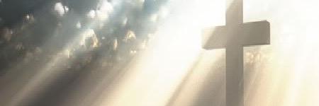 LetusreasonLu's profile banner image