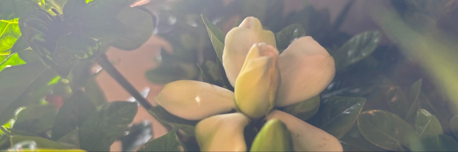 MichelleCalabro's profile banner image