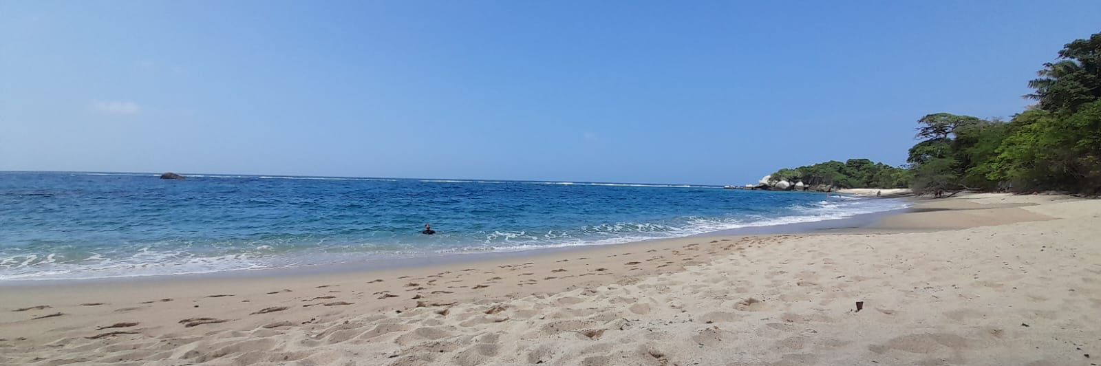 Carlos Palacios ⚒️ banner