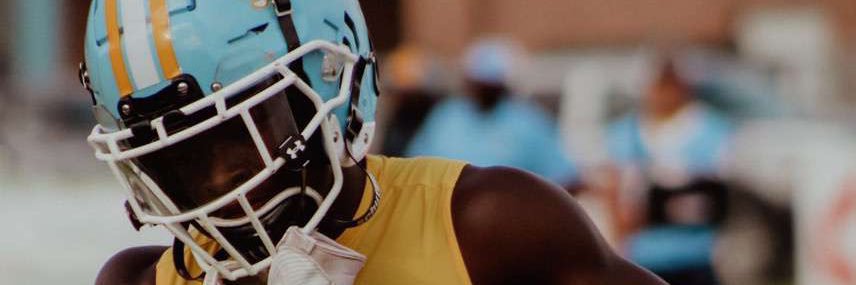Process_31's profile banner image