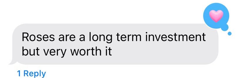 rosalie (et. al.) banner