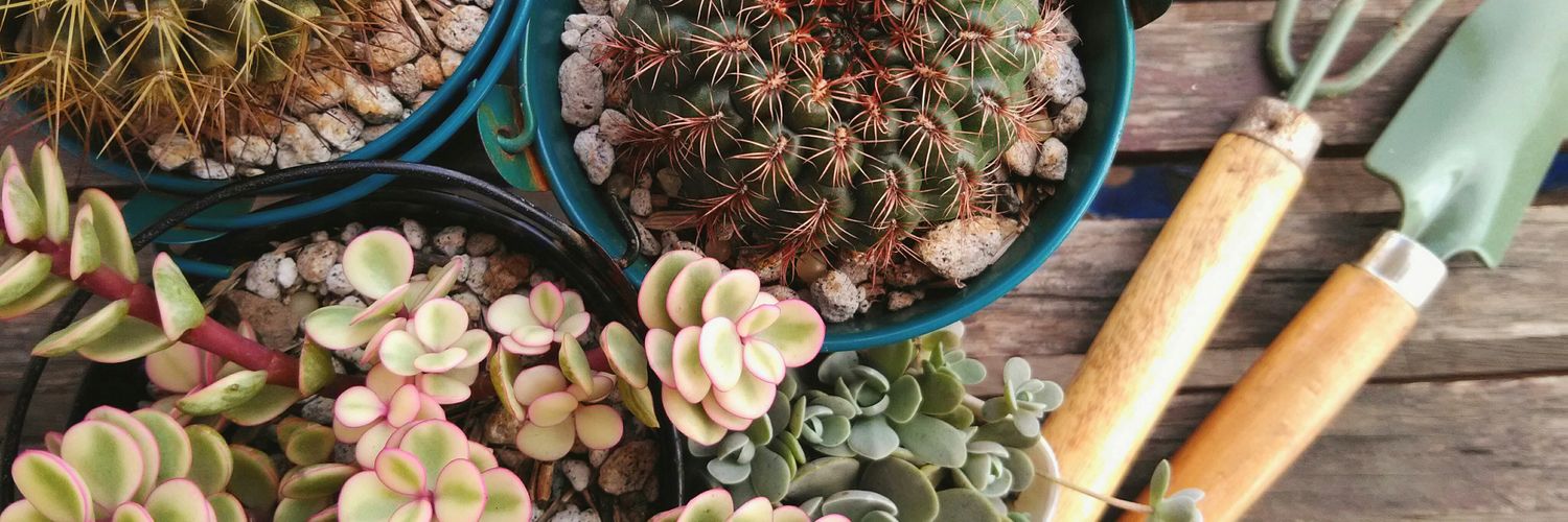 HARD🌵inero banner