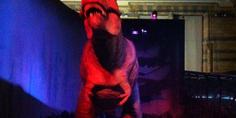 Karen Shawhan banner