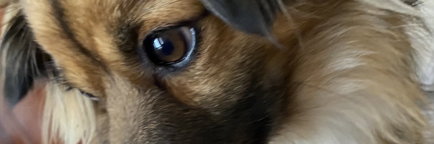 Janneth🌸❤🌸❤🌸❤🌸❤🌸 banner
