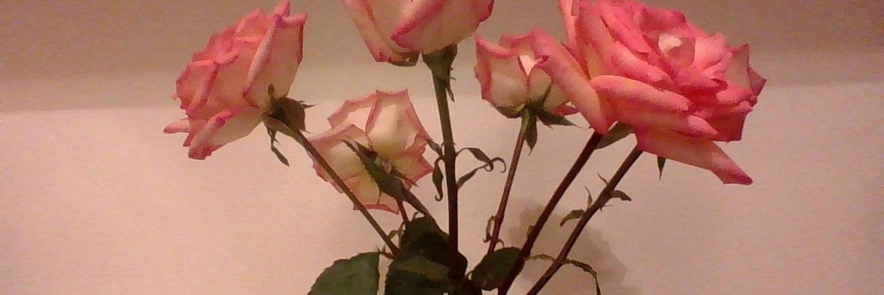 CathySchermer's profile banner image