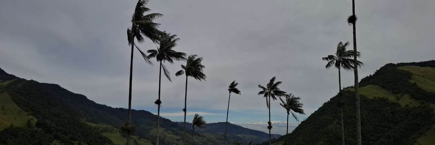 CardonaCs_'s profile banner image