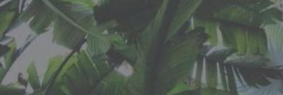 OhNoAndyCL's profile banner image