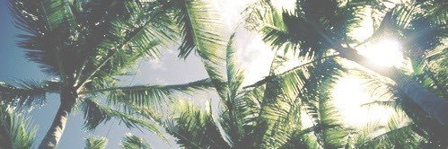 Sarah Jeffcoate banner