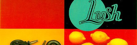 Barnettovich's profile banner image