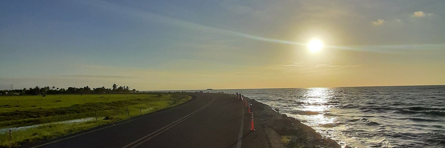 camilososav's profile banner image