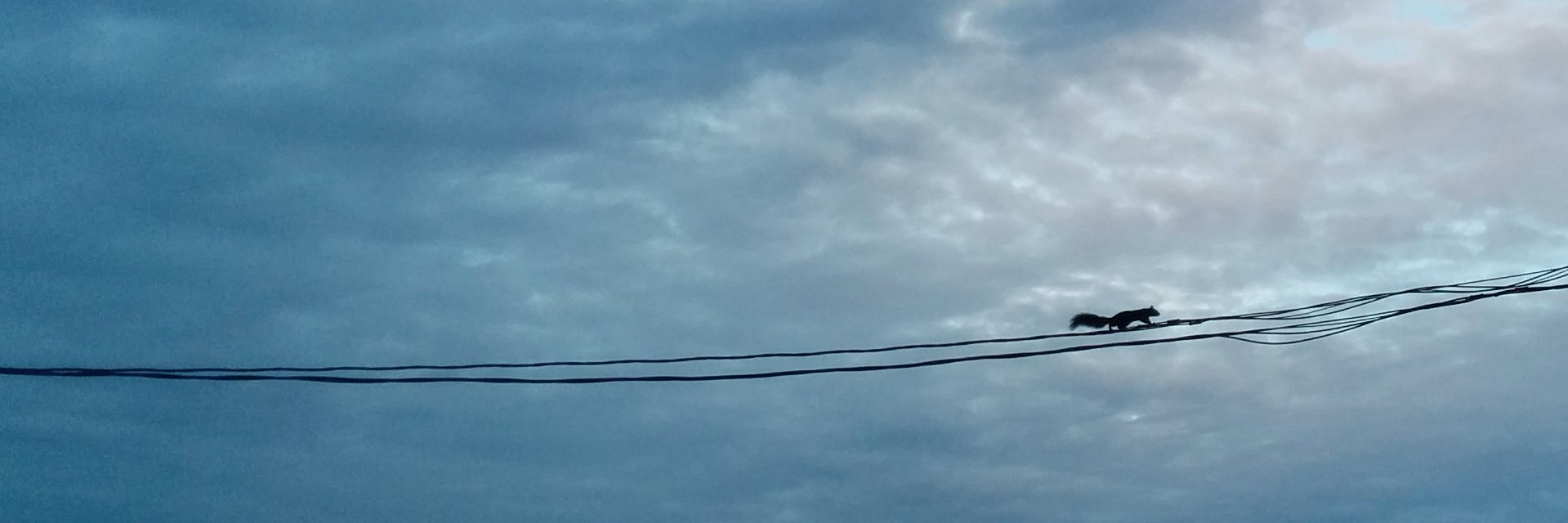 leebalki's profile banner image