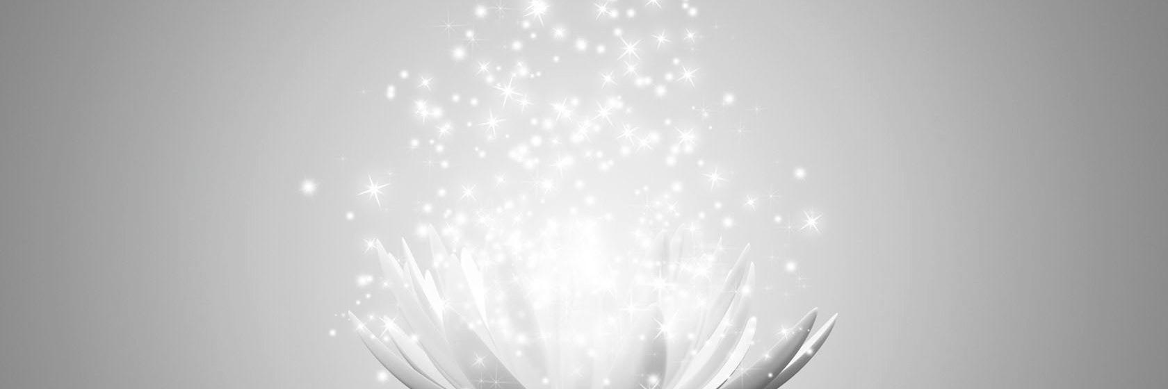 SpiritedLinds's profile banner image