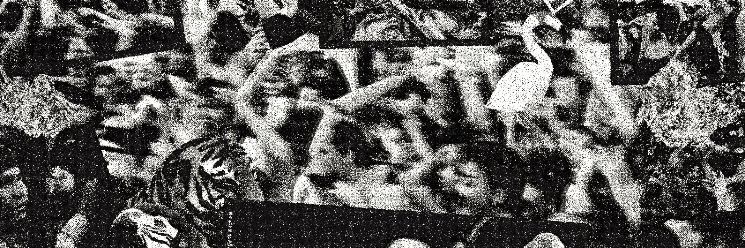 mxlvnga's profile banner image