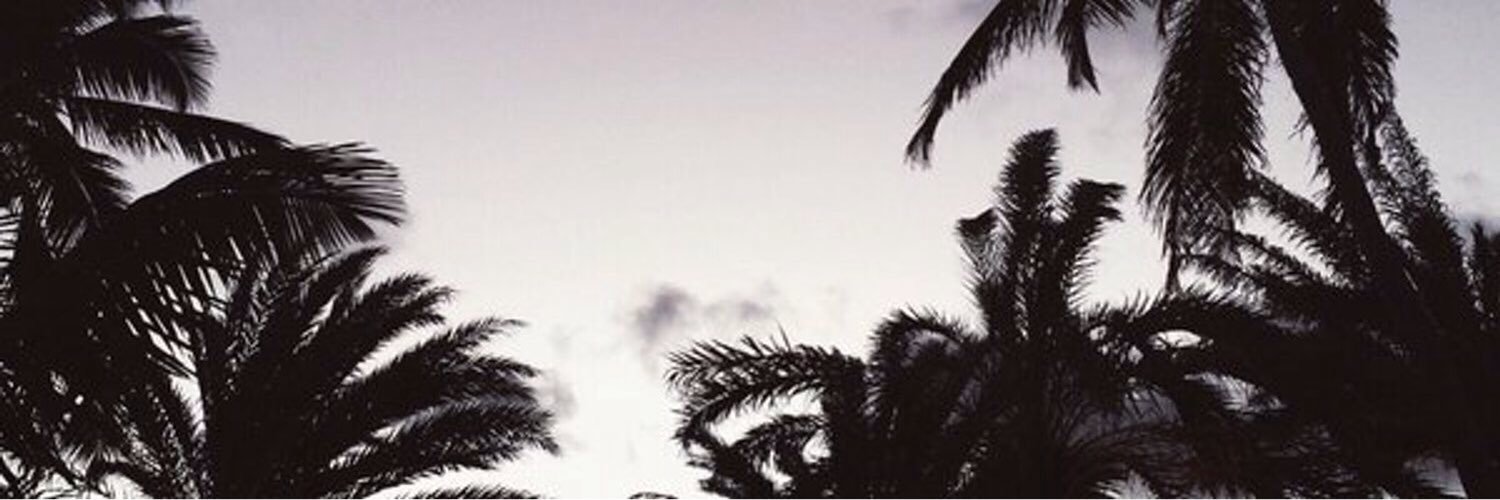 stdtohneliebe's profile banner image
