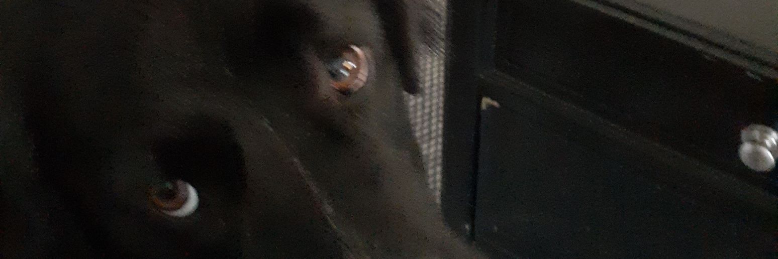 sockmonkey393's profile banner image