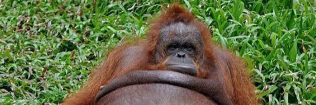 MikePoole_'s profile banner image