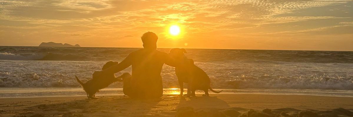 SebastianRR6's profile banner image