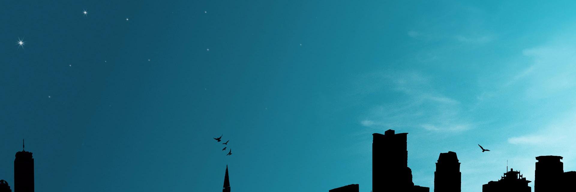 fudansheepp's profile banner image