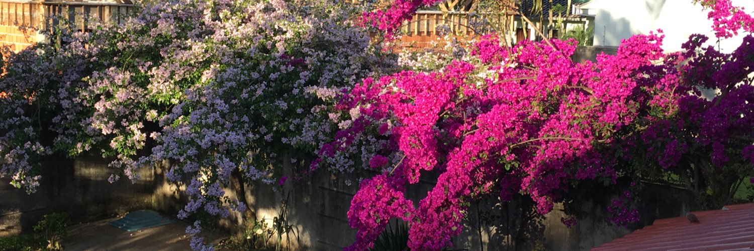 HelenaLoch's profile banner image