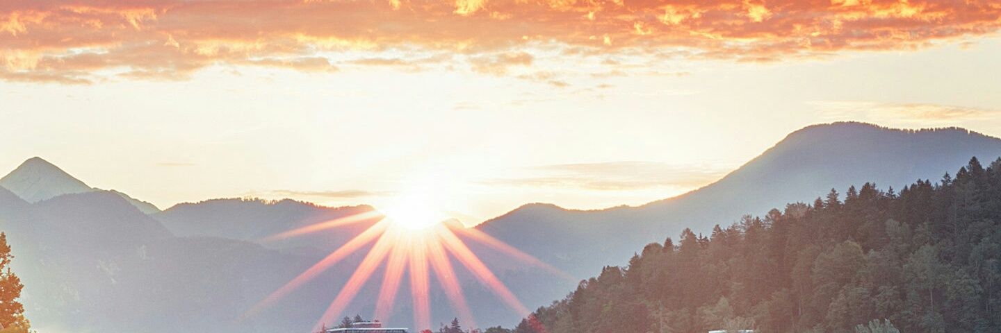 niamhbconroy's profile banner image