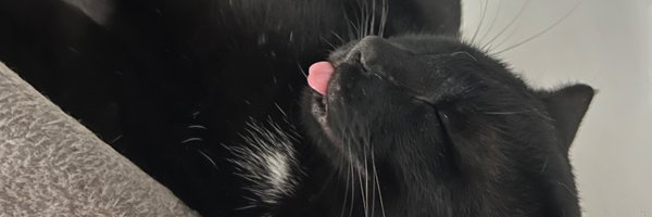 voraginegp Profile Banner