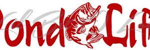 DiddlesPayLake's profile banner image
