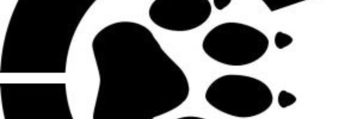 Pete Zoccolillo banner