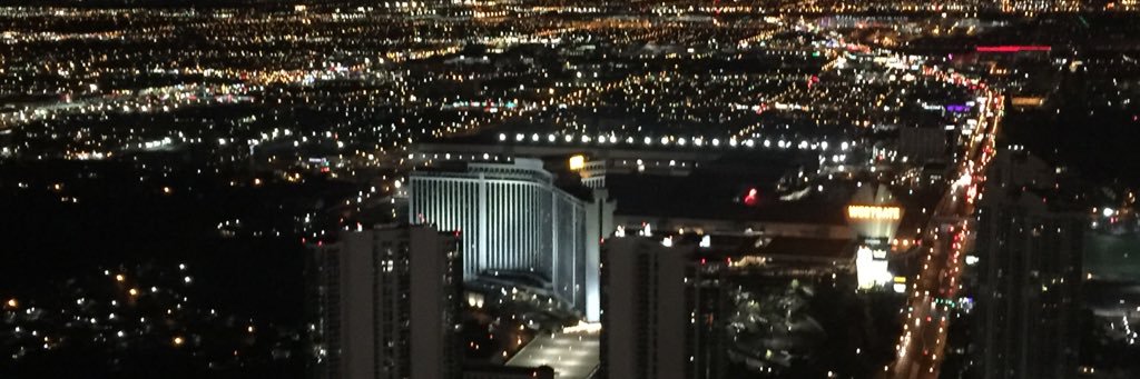 amylamonttt's profile banner image